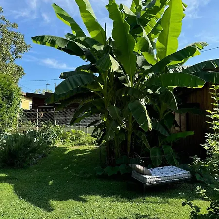 Apartment Le Gite Vogelau