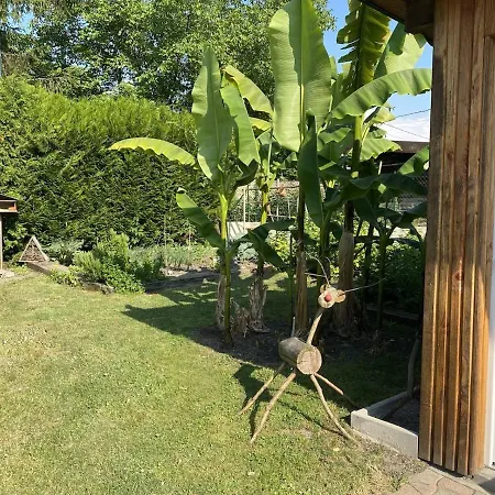 Apartment Le Gite Vogelau Schiltigheim